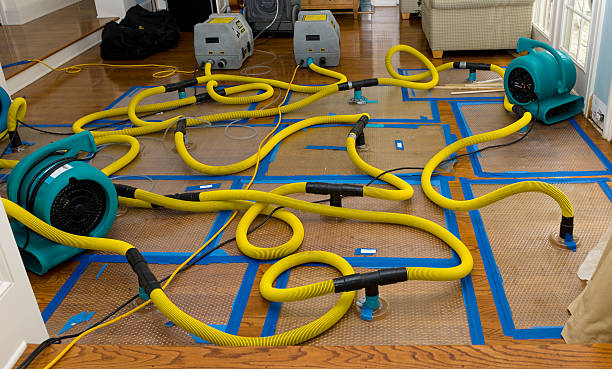 Professional Crawl Space Water Removal technician working in Vickery, OH